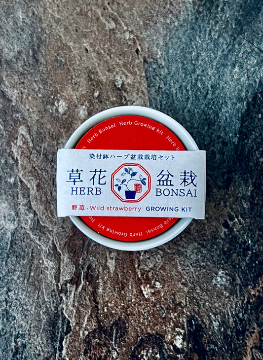Blue & White Komon Flower Bonsai – Rabbit / Wild Strawberry
