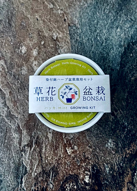 Blue & White Komon Flower Bonsai – Cat / Mint