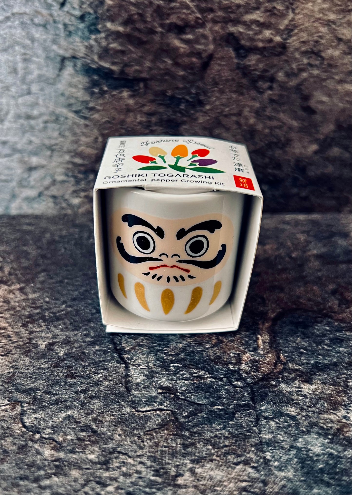 Omedeta Ochoko – Daruma (White) with Five-Colored Chili Pepper Growing Kit