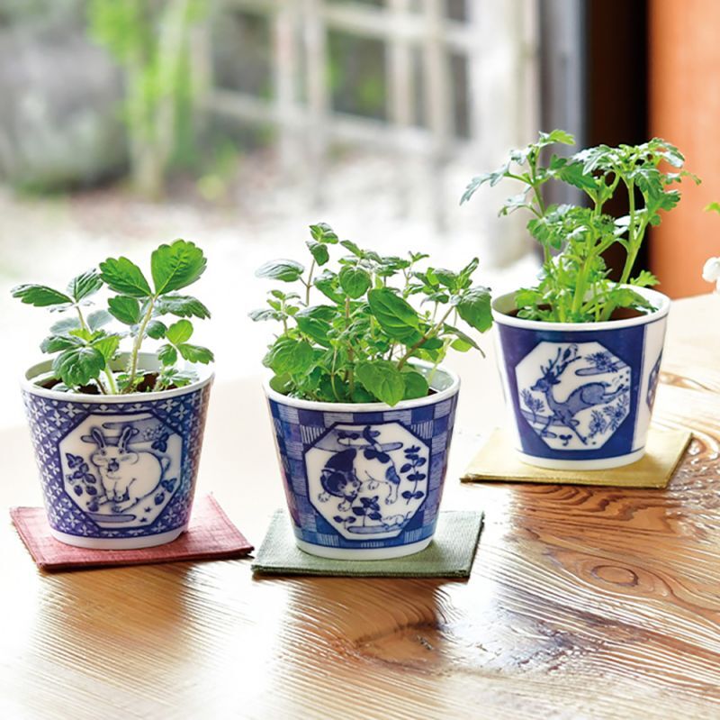 Blue & White Komon Flower Bonsai – Rabbit / Wild Strawberry