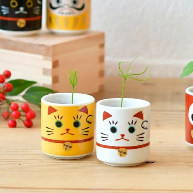 Omedeta Ochoko Maneki-neko – Red Pine Growing Kit