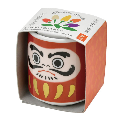 Omedeta Ochoko – Daruma (White) with Five-Colored Chili Pepper Growing Kit