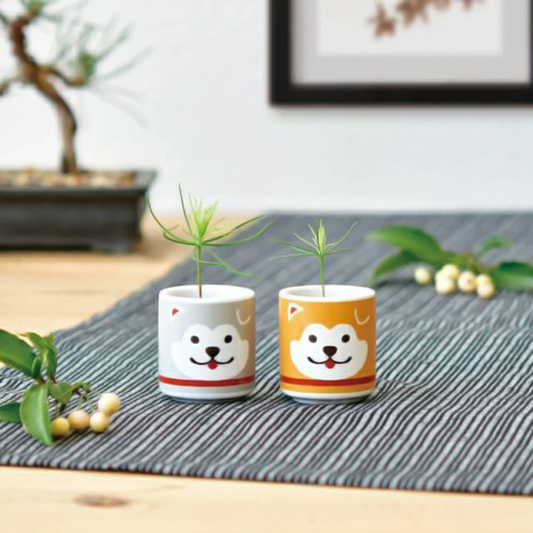 Omedeta Ochoko – Hachiko (Brown) with Black Pine Growing Kit