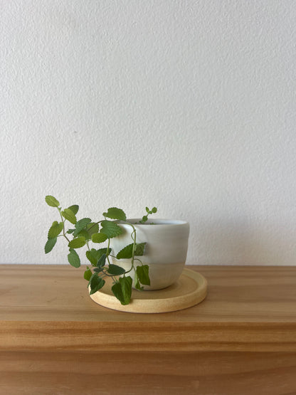 Tokoname Choko Bonsai Pot Saucer