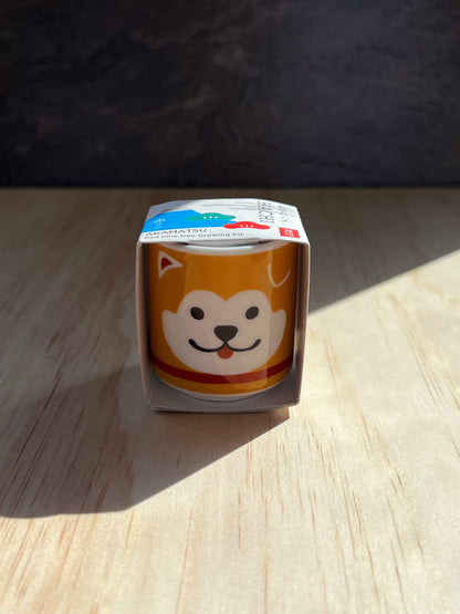 Omedeta Ochoko – Hachiko (Brown) with Black Pine Growing Kit