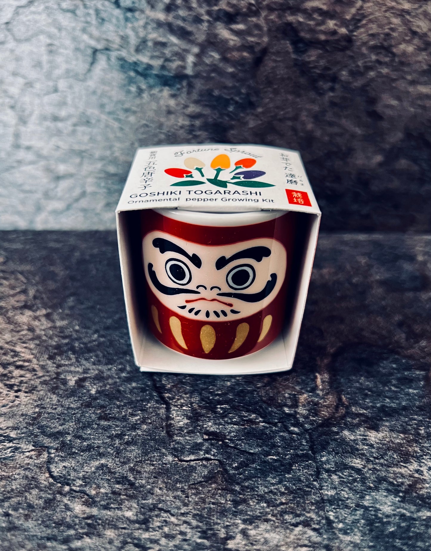 Omedeta Ochoko – Daruma (Red) with Five-Colored Chili Pepper Growing Kit