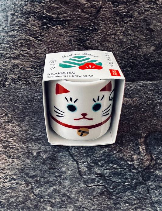 Omedeta Ochoko Maneki-neko – Red Pine Growing Kit