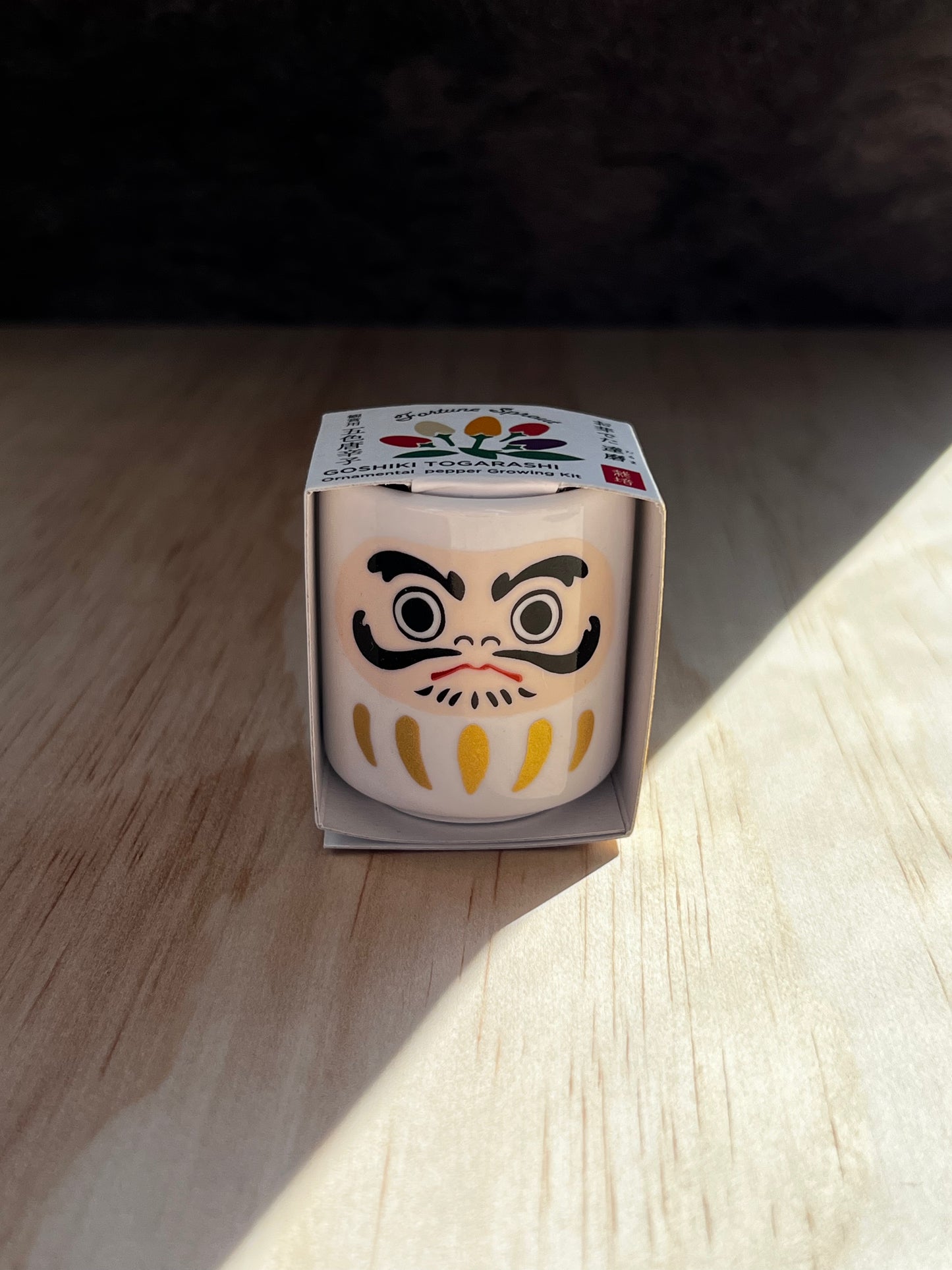 Omedeta Ochoko – Daruma (White) with Five-Colored Chili Pepper Growing Kit