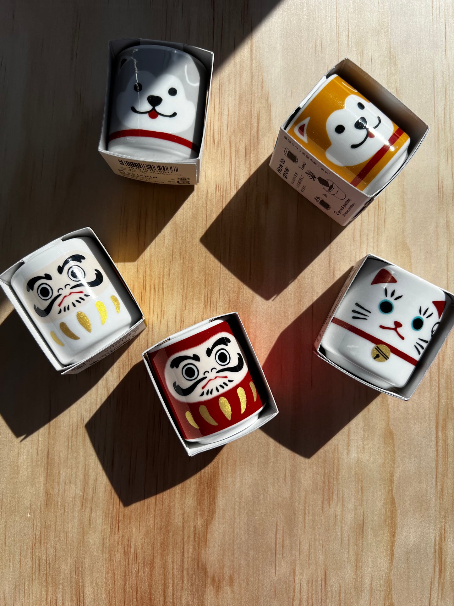 Omedeta Ochoko – Hachiko (Brown) with Black Pine Growing Kit