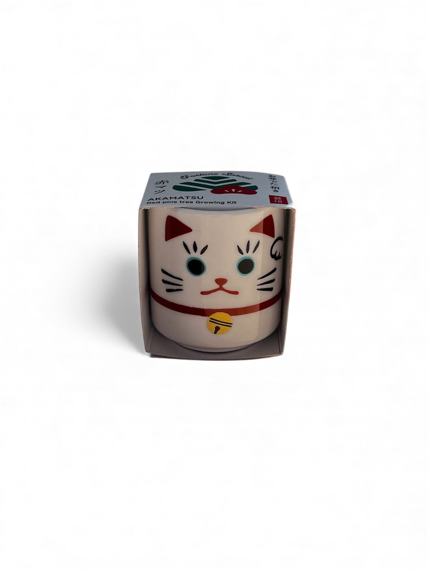 Omedeta Ochoko Maneki-neko – Red Pine Growing Kit