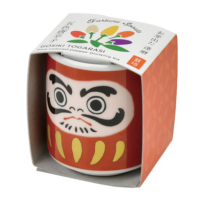 Omedeta Ochoko – Daruma (White) with Five-Colored Chili Pepper Growing Kit